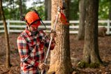 A person wearing work gear using a pole saw in a forest setting.