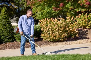 A person using a string trimmer to edge a lawn next to a driveway, with flowering shrubs in the background.