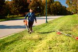 A person using a leaf blower to clear fallen leaves on a sidewalk.