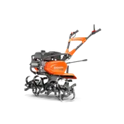 Elemento decorativo