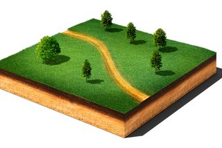 Illustration of a cross-section of land with a grassy surface, trees, and a winding path.