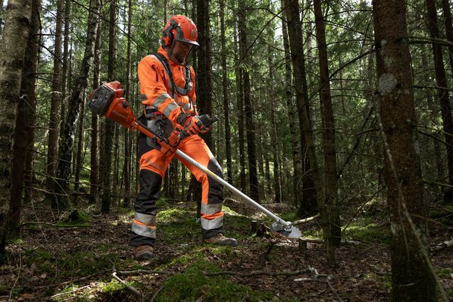 En person som använder en buskröjare i en tät skogsmiljö.
