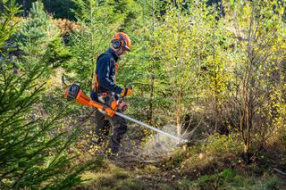 A person using a brush cutter to clear undergrowth in a forested area.
