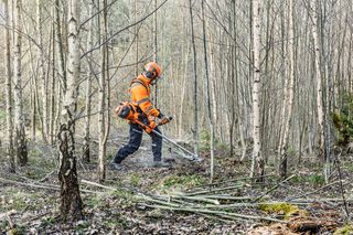 En person, der bruger en buskrydder til at rydde underskov i et skovområde.