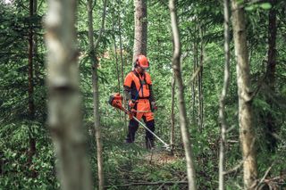 Une personne portant un équipement de travail à l’aide d’une débroussailleuse dans une forêt dense.