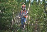 A person using a brush cutter in a dense forest area.