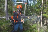 A person wearing work gear is using a pole saw to cut branches in a forest.