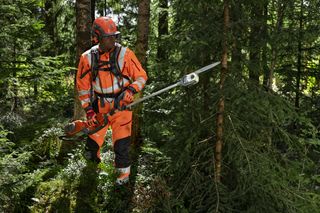En person i arbetskläder som använder en stångsåg i en tät skog.