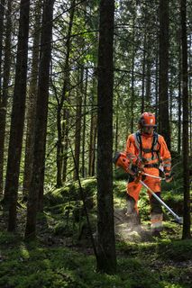 Eine Person, die ein Laubblasgerät benutzt, um gefallene Blätter in einer Waldumgebung zu beseitigen.