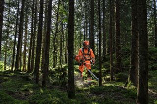 En person som använder en lövblåsare för att rensa bort nedfallna löv i en skogsmiljö.
