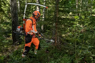 A person using a brush cutter in a dense forest area.