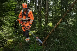 A person in work gear using a brush cutter to clear undergrowth in a forest.