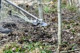A brush cutter being used to trim small trees and shrubs in a forested area.