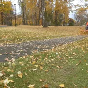 HUSQVARNA P 524. How to P 524 with broom 57s 16:9 MASTER