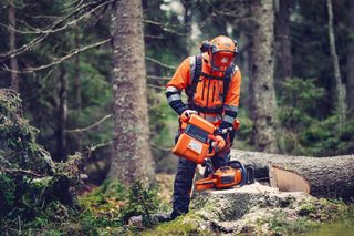 Combi can. A person in work gear using a chainsaw to cut a fallen tree in a forest.