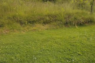 LTH tractor with 2-bin collector 53s 16:9 MASTER