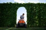 Egy személy, aki fűnyíróval közlekedik egy boltíven keresztül egy magas sövényben.