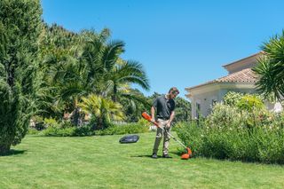 A person trimming grass with a garden trimmer in a sunny garden setting.