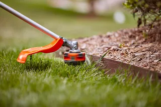 Close-up of a grass trimmer cutting the edge of a lawn next to a flower bed.