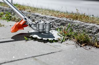 A grass trimmer with a metal blade cutting grass along a concrete curb.