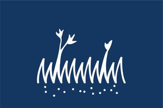 Dekorativní prvek se stylizovanými rostlinami a tečkami na modrém pozadí.