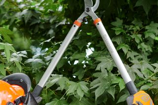 A person using pruning shears to trim branches in a garden.