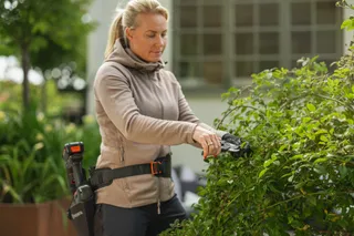 En person som använder ett beskärningsverktyg för att trimma buskar i en trädgård.