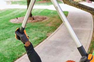 A person using a long-handled pruning shear to cut a tree branch in a park setting.