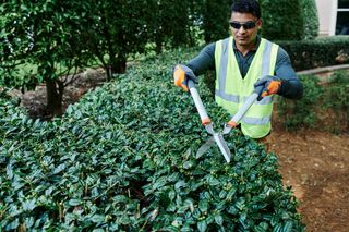 A person using hedge shears to trim a hedge in a garden setting.
