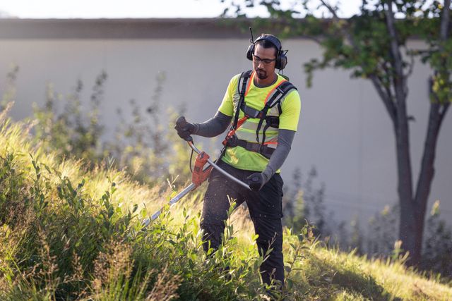En person som använder en grästrimmer i en gräsbevuxen sluttning och bär arbetskläder och hörselskydd.