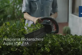 Aspire Hedge Trimmer Hybrid 16x9 DE