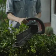 Aspire Hedge Trimmer Hybrid 16x9 JA