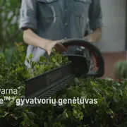 Aspire Hedge Trimmer Hybrid 16x9 LT