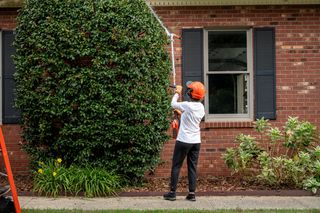 A person using a hedge trimmer to shape a large bush in front of a brick house.