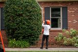 A person using a hedge trimmer to shape a large bush in front of a brick house.