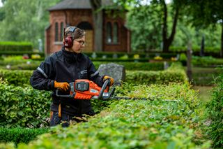 A person using a hedge trimmer to trim bushes in a garden setting.