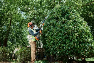 A person using a hedge trimmer to shape a large bush in a garden setting.