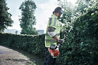A person using a hedge trimmer to trim a tall hedge in a garden.