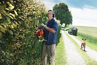 A person trimming a hedge with a hedge trimmer on a rural path, with a dog running nearby.