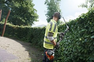 A person using a hedge trimmer to trim a hedge in a garden setting.