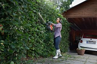 A person trimming a hedge with a hedge trimmer near a wooden garage.