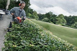 A person using a hedge trimmer to shape a hedge in a garden setting.