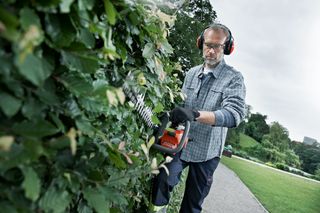 A person trimming a hedge in a park using a hedge trimmer.