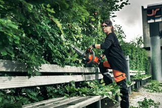 A person trimming a hedge using a hedge trimmer in a park setting.