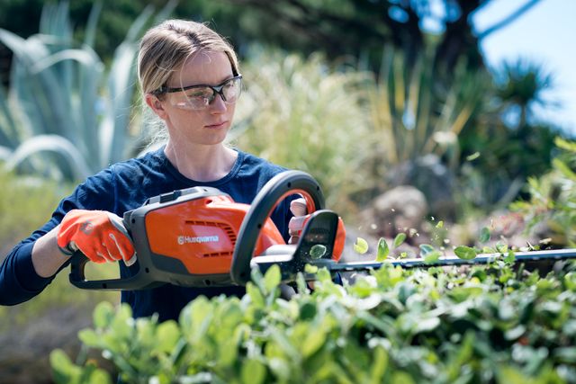 A person using a hedge trimmer to trim bushes in a garden.