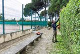 A person trimming a tall hedge next to a tennis court using a hedge trimmer.