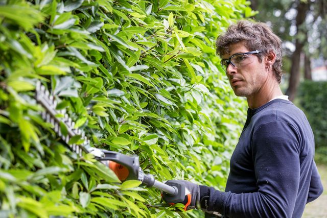 A person trimming a hedge with a long-handled hedge trimmer in a garden.