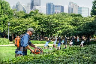 A person using a hedge trimmer in a park with a city skyline in the background.