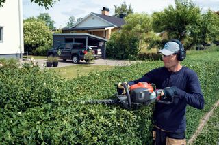 A person using a hedge trimmer to trim a garden hedge in front of a house.