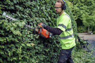A person using a hedge trimmer to trim a dense hedge in a garden setting.